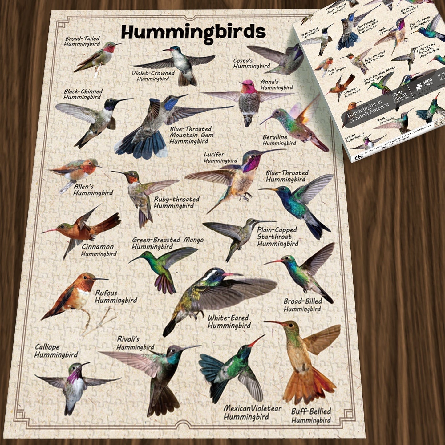 Hummingbirds Jigsaw Puzzles 1000 Pieces