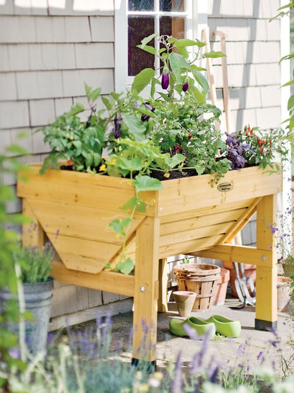 Compact Patio Garden