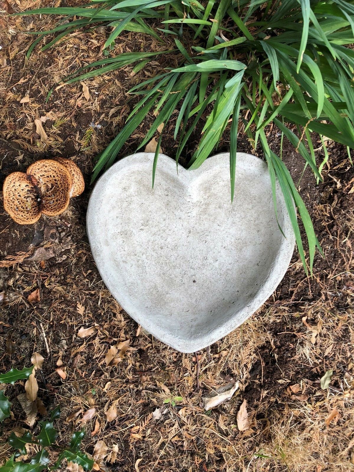 Stunning Stone Heart Garden Bird Bath/Feeder