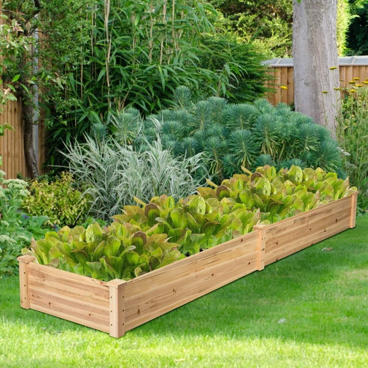 8ft x 2ft Wooden Raised Garden Bed Vegetable Planter Box Kit Planter Box Elevated Planting Container for Flower