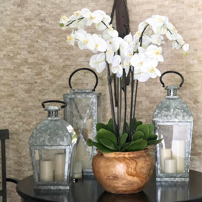 Large teak bowl with white orchids