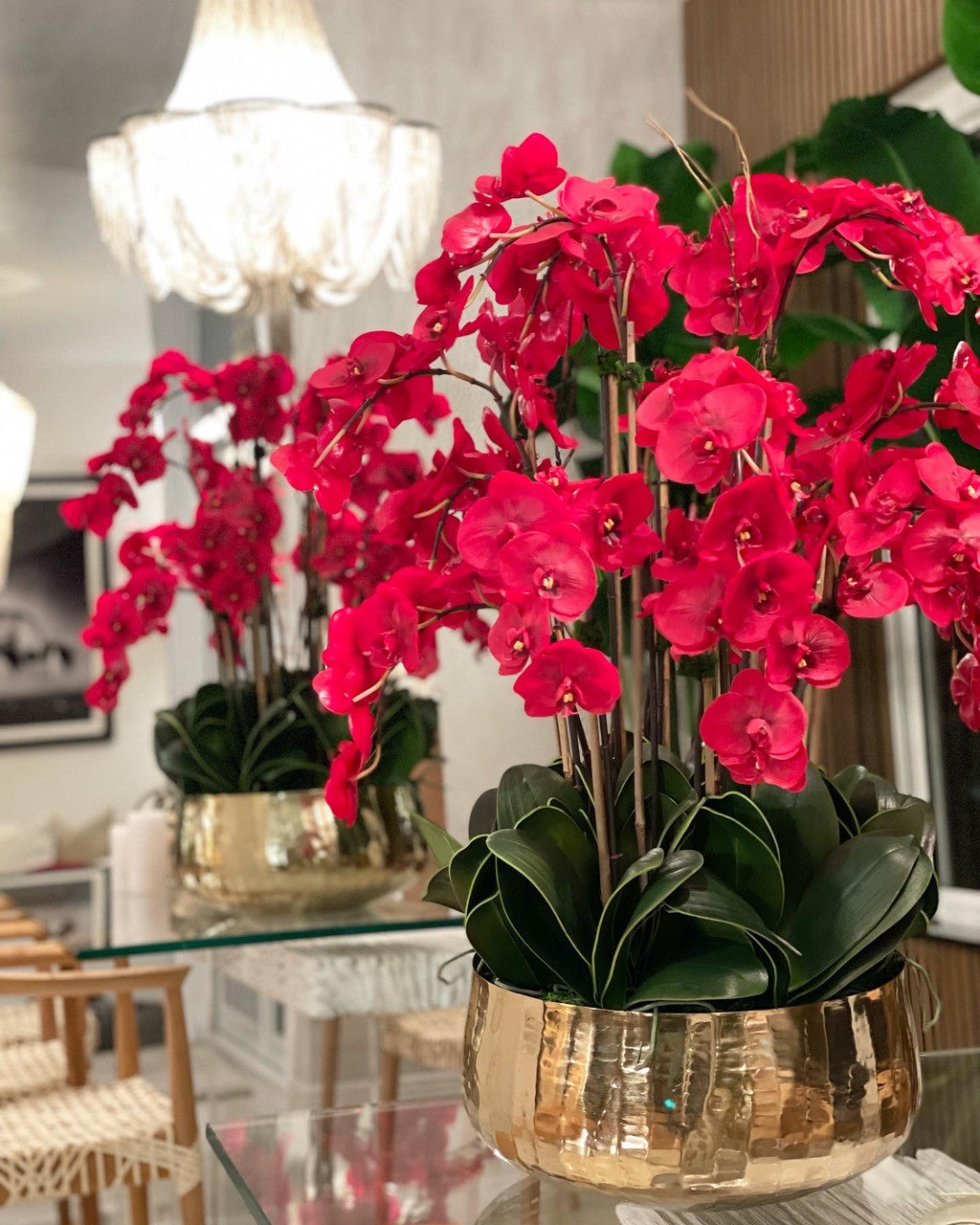 Red Phalaenopsis Orchids Floral Arrangement in Large Gold Planter