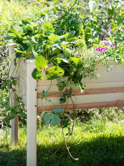 Standing Garden Bed