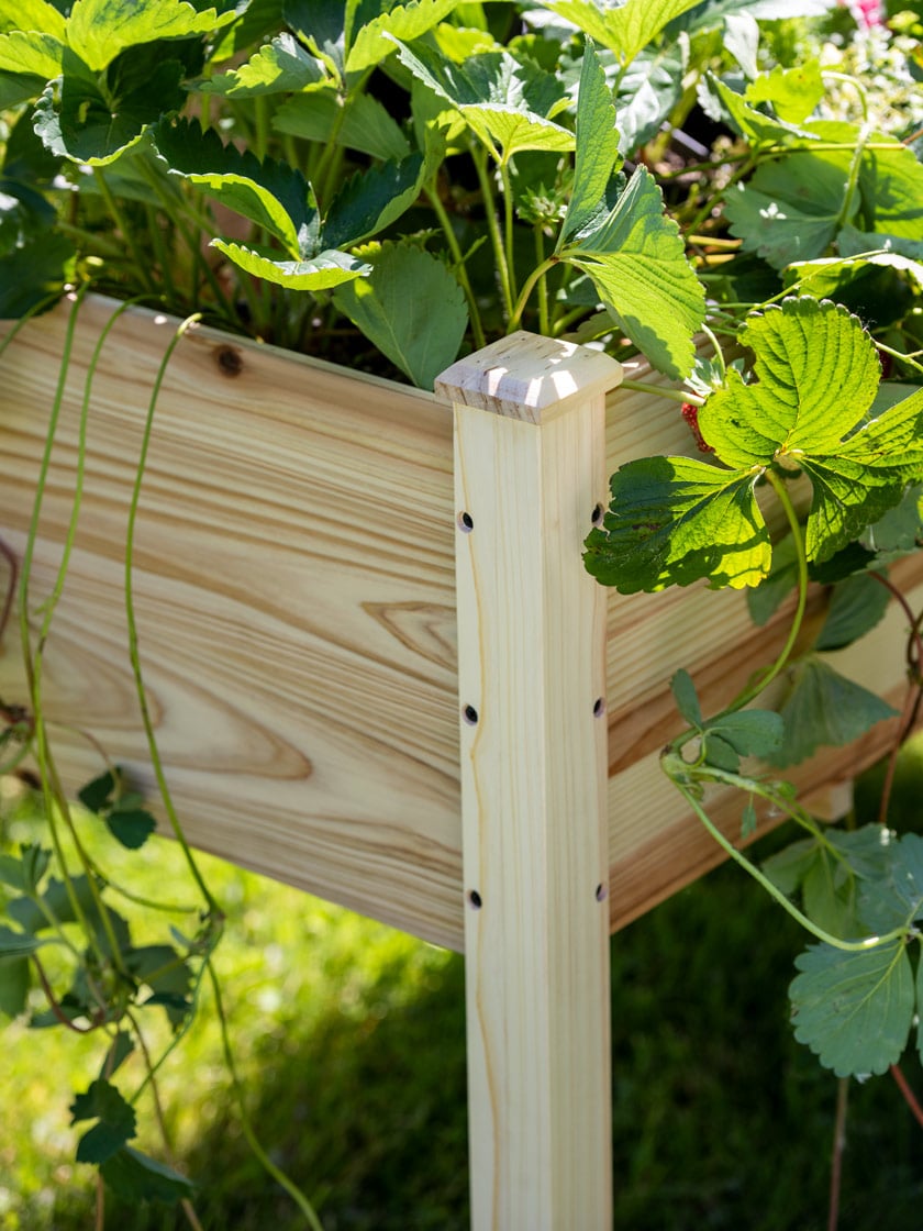 Standing Garden Bed