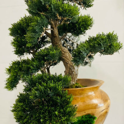 Small Bonsai Tree in Hand Carved Teak Vase Artificial Tree