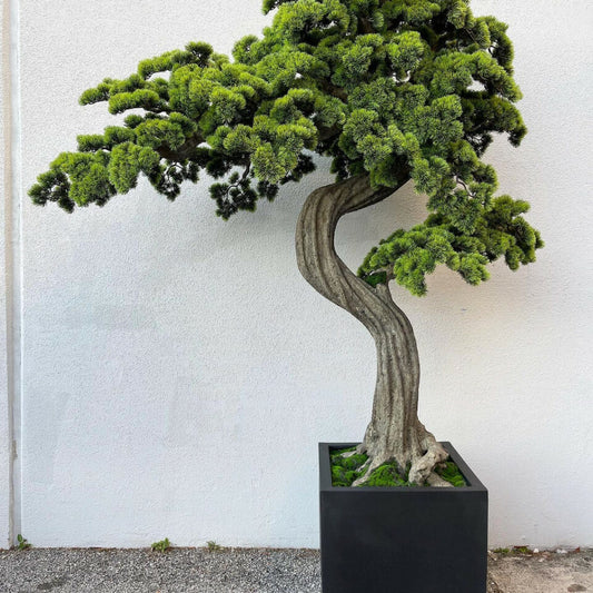 Oversized Bonsai tree in Block M Planter Artificial Tree