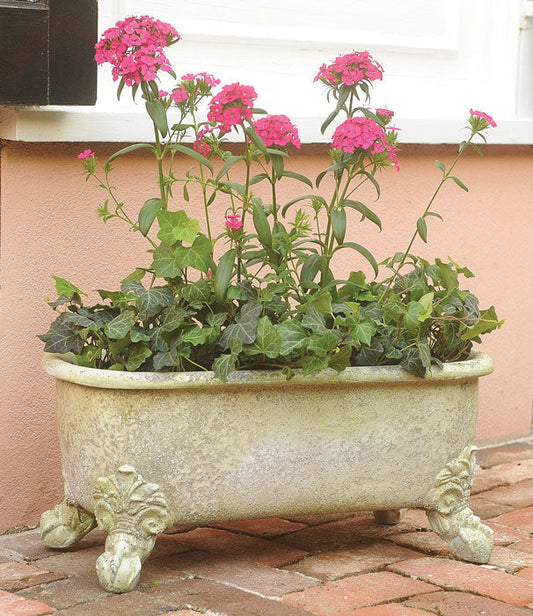 Bathtub Planter