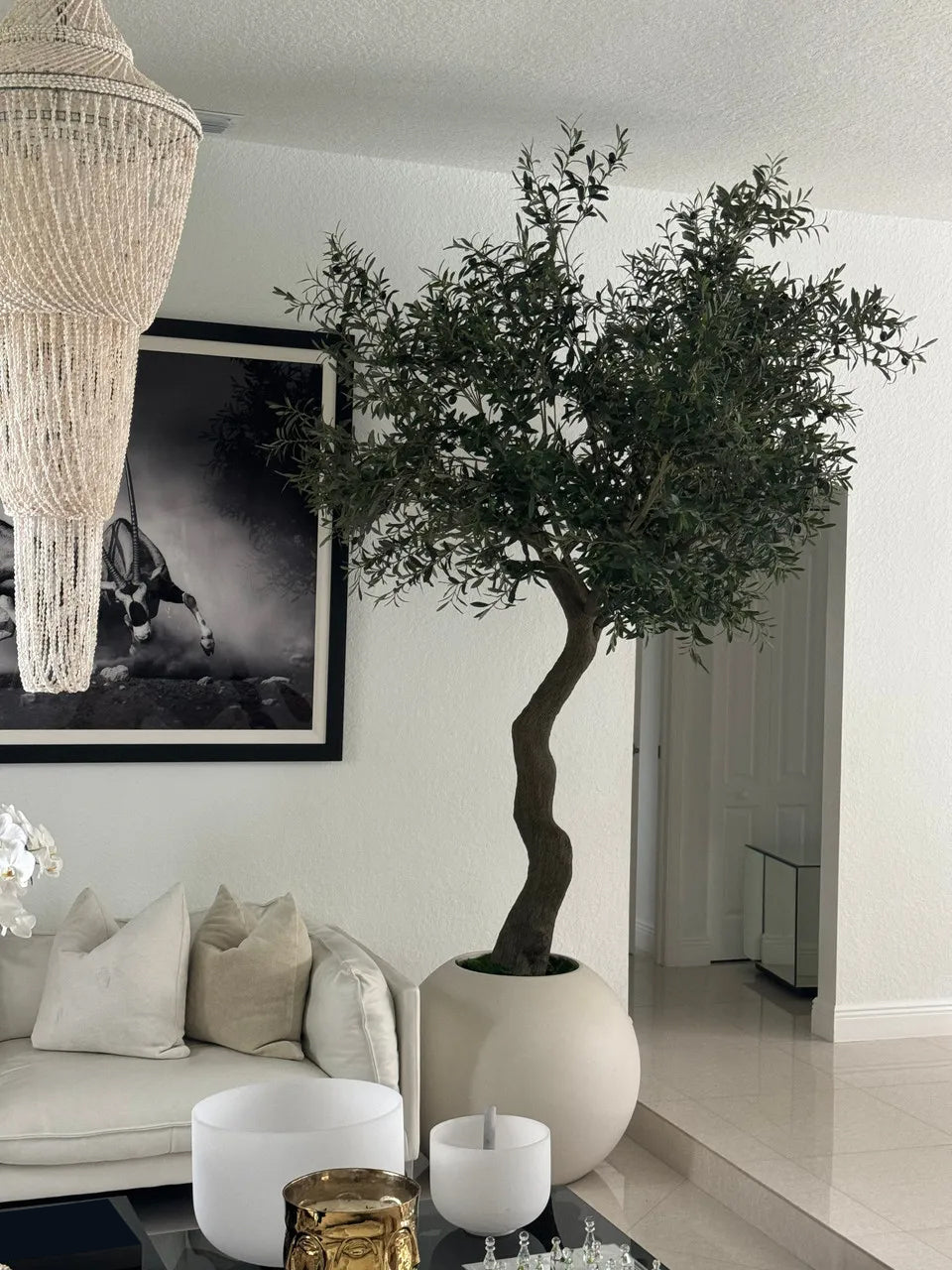 7′ Olive Tree in Matte Beige 30″ Globe Planter