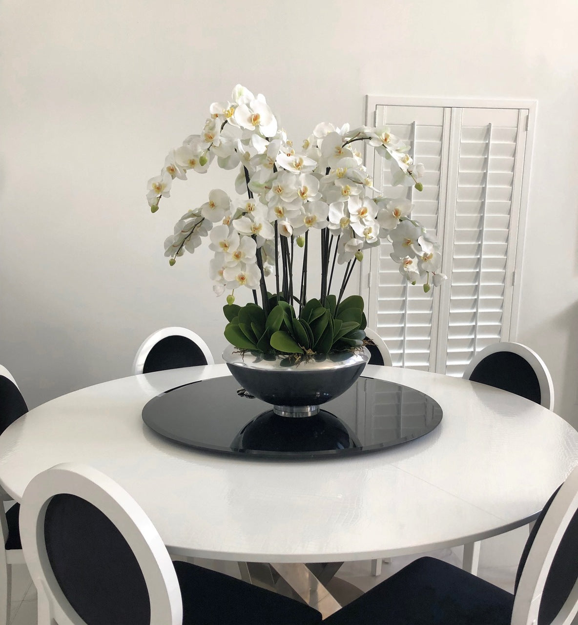 Avenue Bowl with White Phalaenopsis Orchids