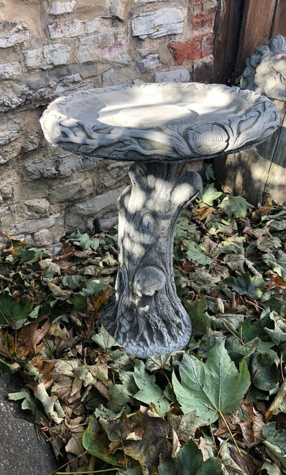 Stunning Stone Tree Trunk Design Garden Bird Bath