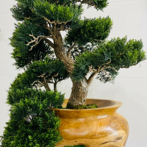 Small Bonsai Tree in Hand Carved Teak Vase Artificial Tree