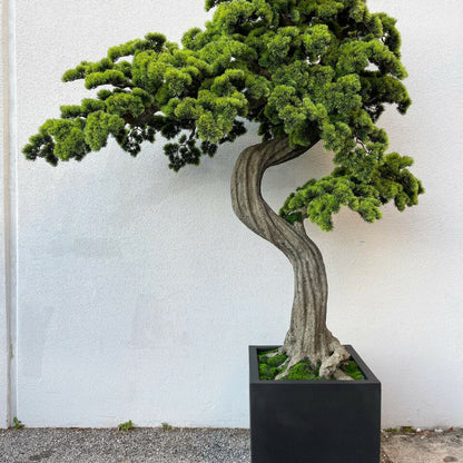 Oversized Bonsai tree in Block M Planter Artificial Tree