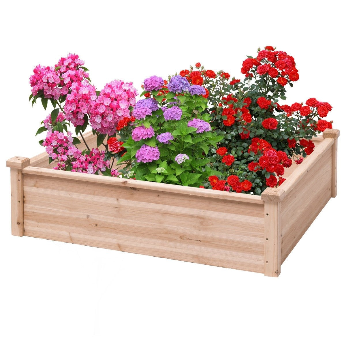 Outdoor Wooden Square Raised Garden Bed Vegetable Flower Box