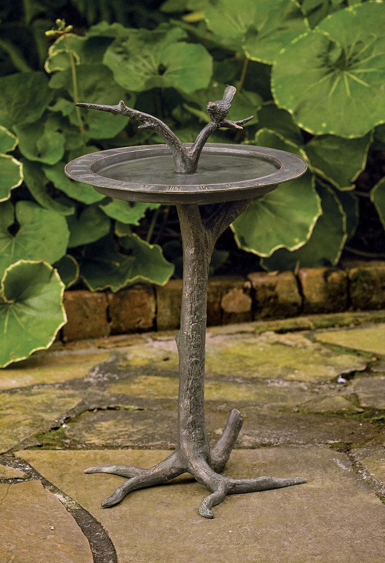 Tree Birdbath and Sundial