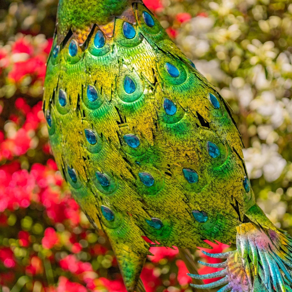 Large Color Peacocks with Jewels