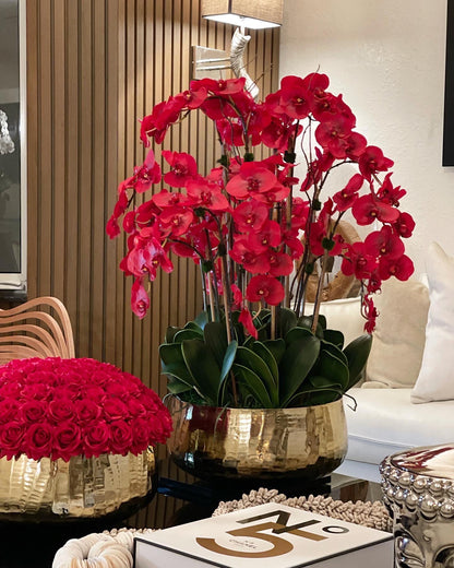 Red Phalaenopsis Orchids Floral Arrangement in Large Gold Planter