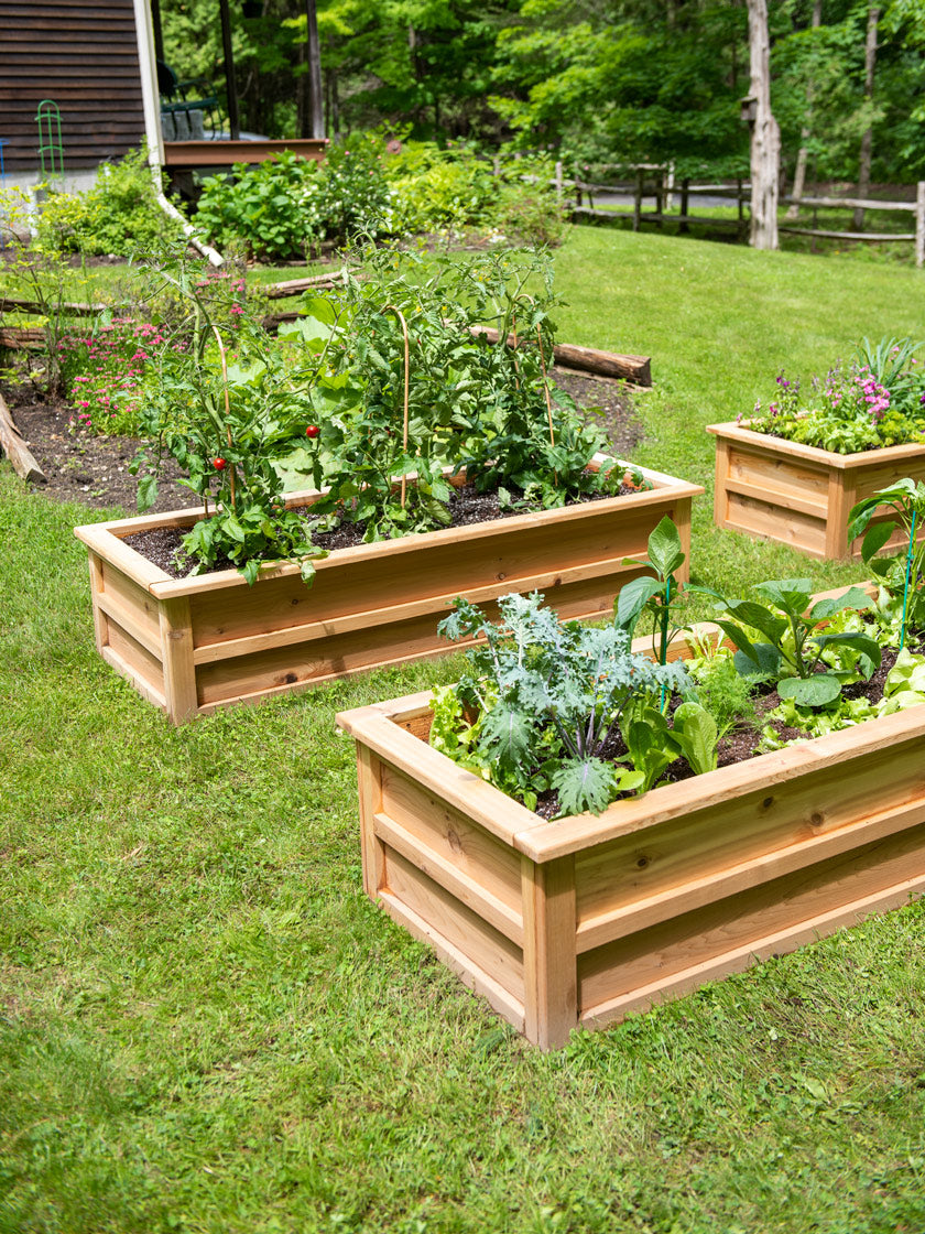 Raised Beds