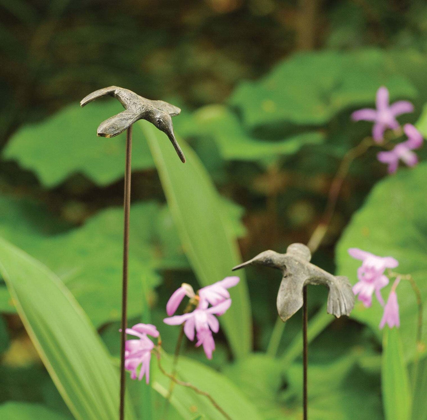 Hummingbird Stake