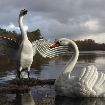 Grand Pair of Swans Metal Garden Statues