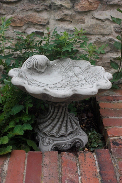 Stunning Stone Shell Sculpture Garden Bird Bath