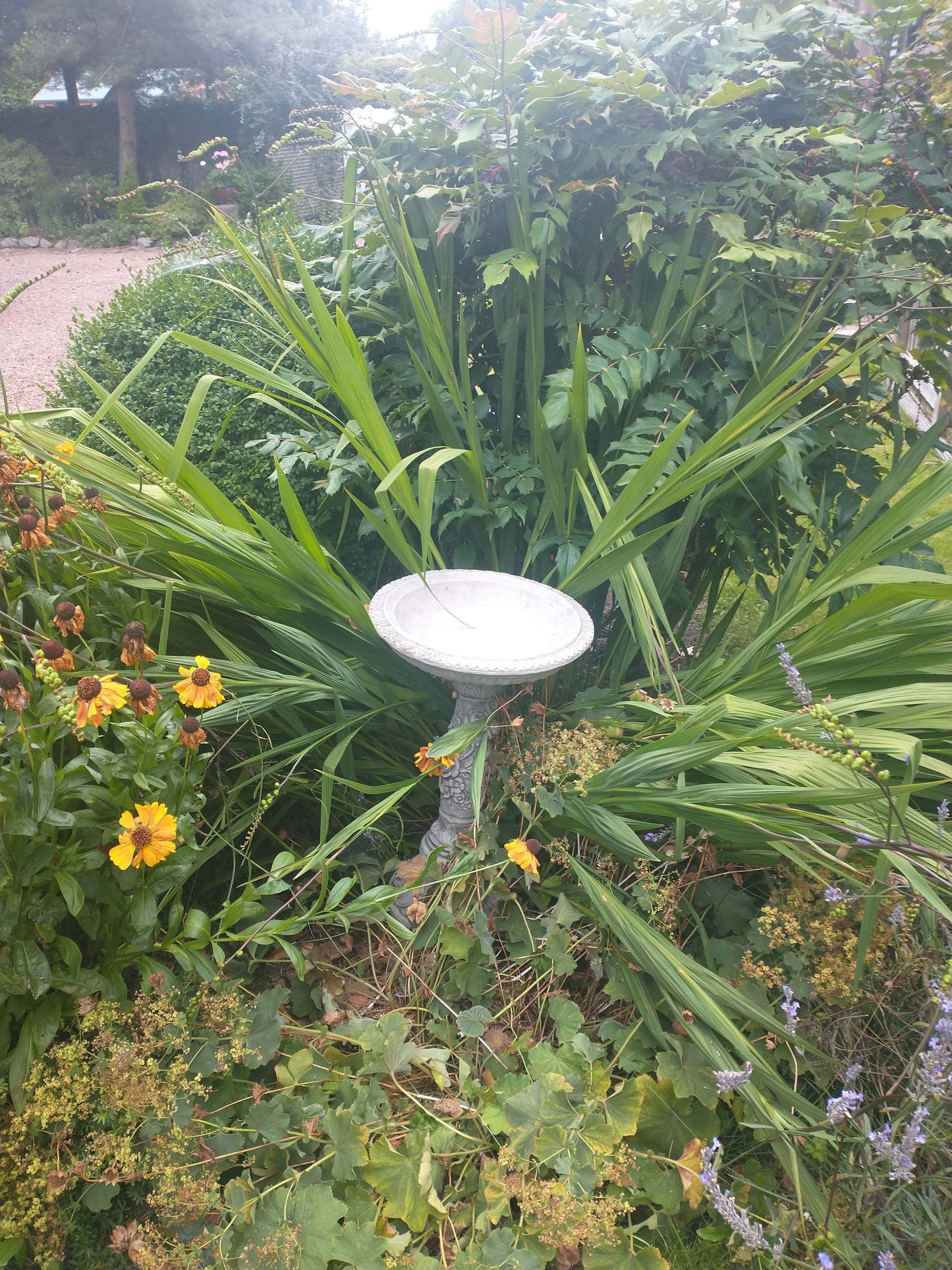 Stunning Stone Flower Petal Garden Bird Bath