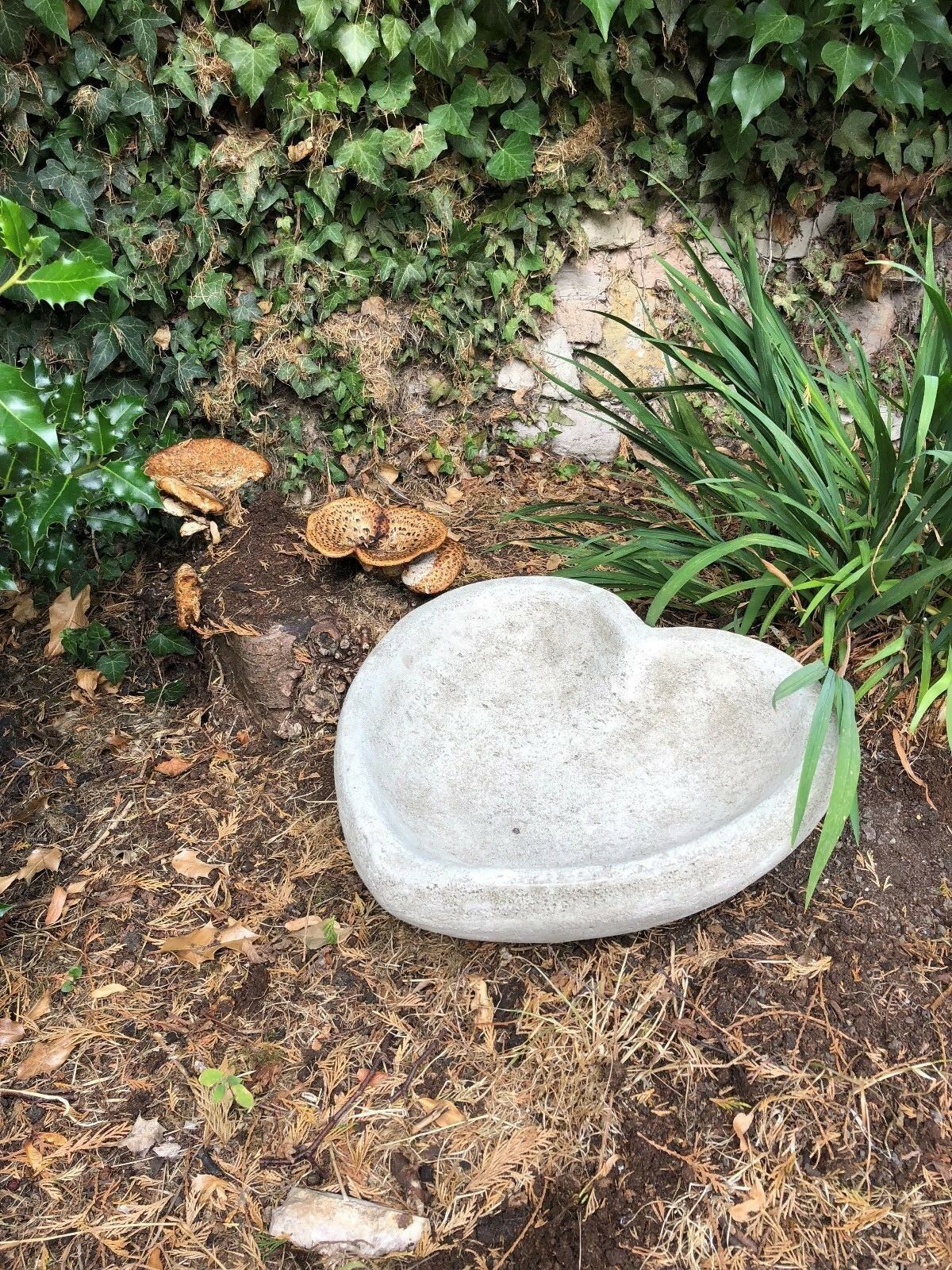 Stunning Stone Heart Garden Bird Bath/Feeder