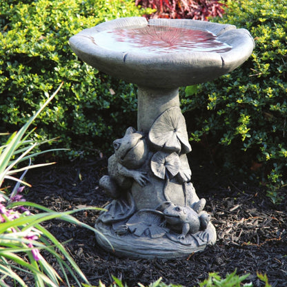 Frogs and Lilies 1-Piece Concrete Bird Bath