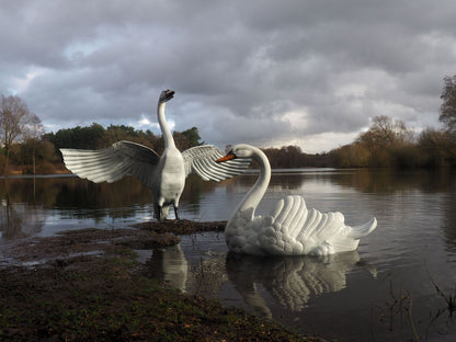 Grand Pair of Swans Metal Garden Statues