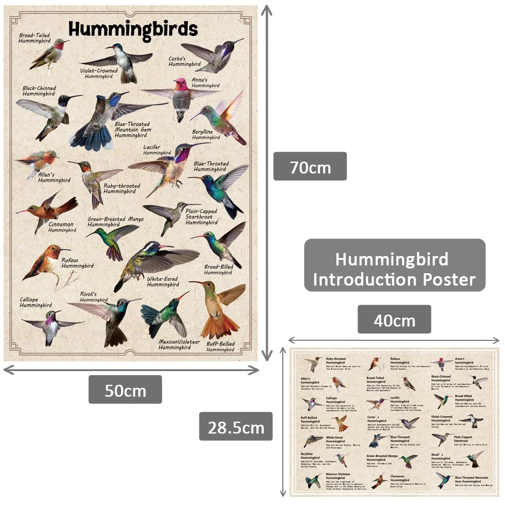 Hummingbirds Jigsaw Puzzles 1000 Pieces