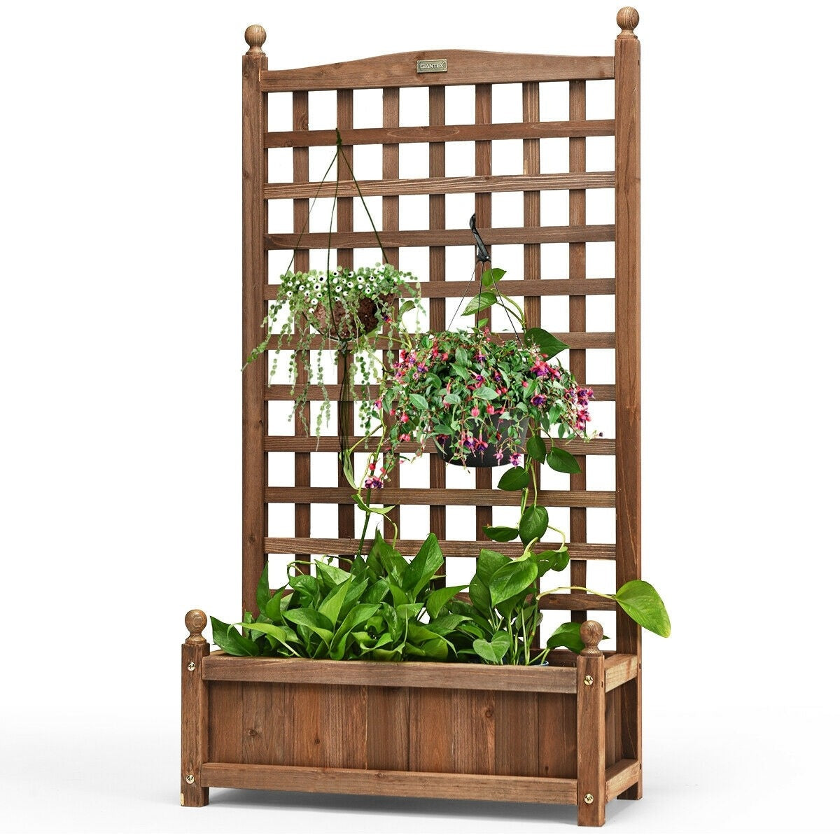 Outdoor Freestanding Wood Raised Garden Bed Planter Box with Trellis