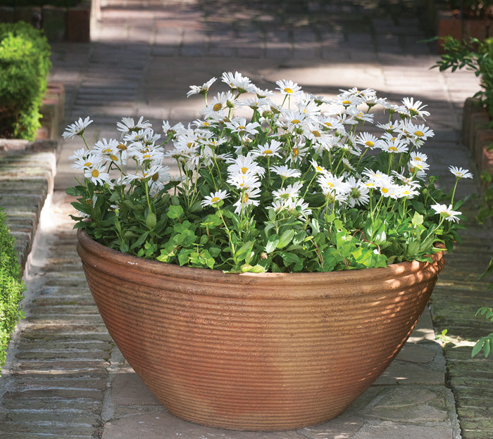 Ribbed Bowl/Rust