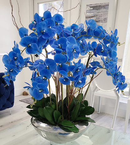 Avenue bowl with blue Phalaenopsis orchids