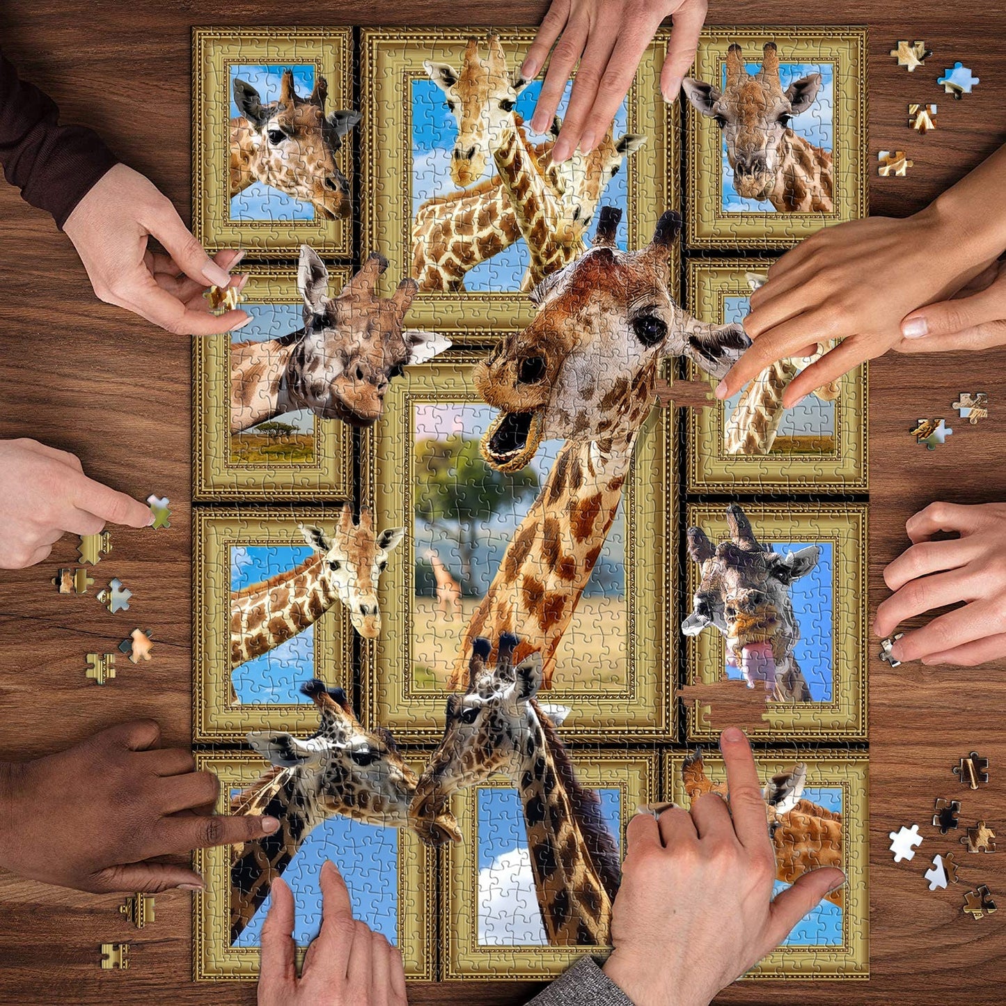 Giraffes Gone Wild Jigsaw Puzzles 1000 Pieces