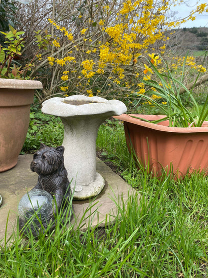 Stunning Stone Mushroom Sculpture Garden Bird Bath