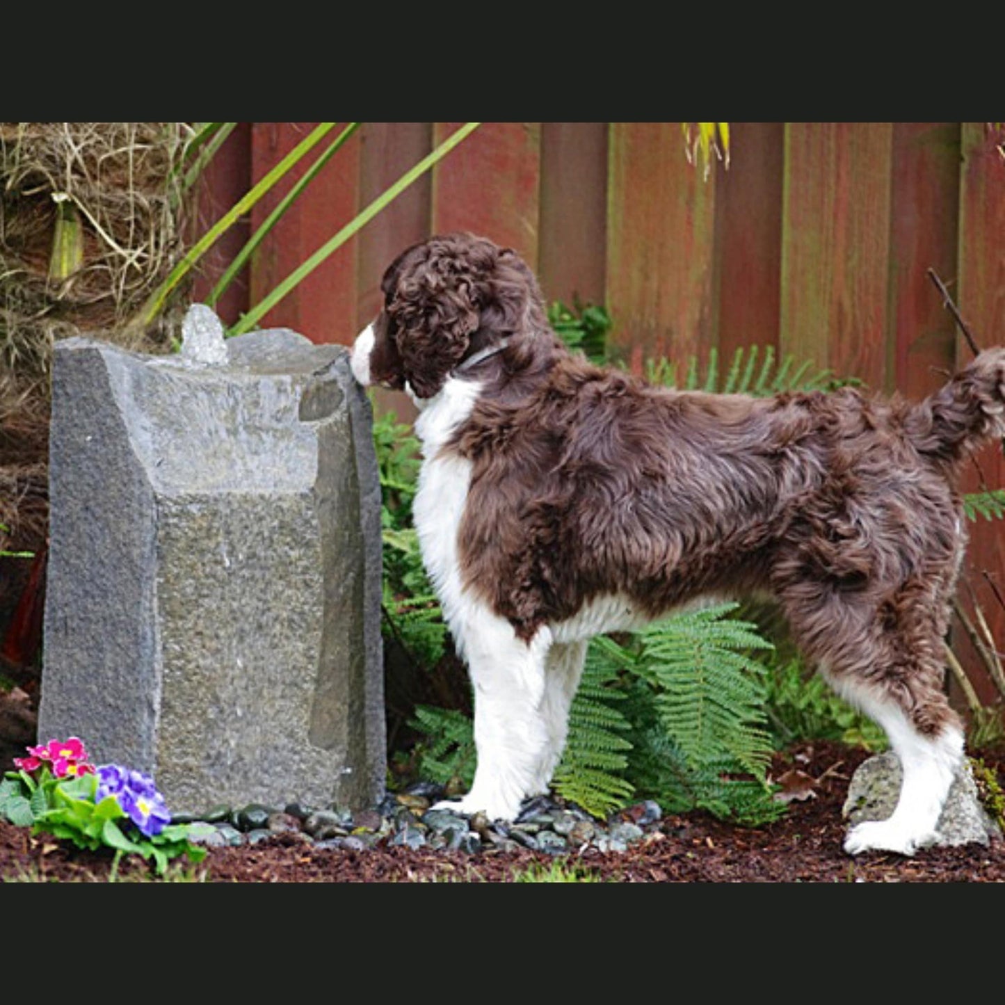 Boulder Fountain - Complete Kit