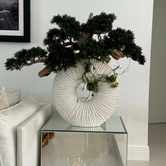 most popular large eternity vase with trailing bonsai tree and driftwood