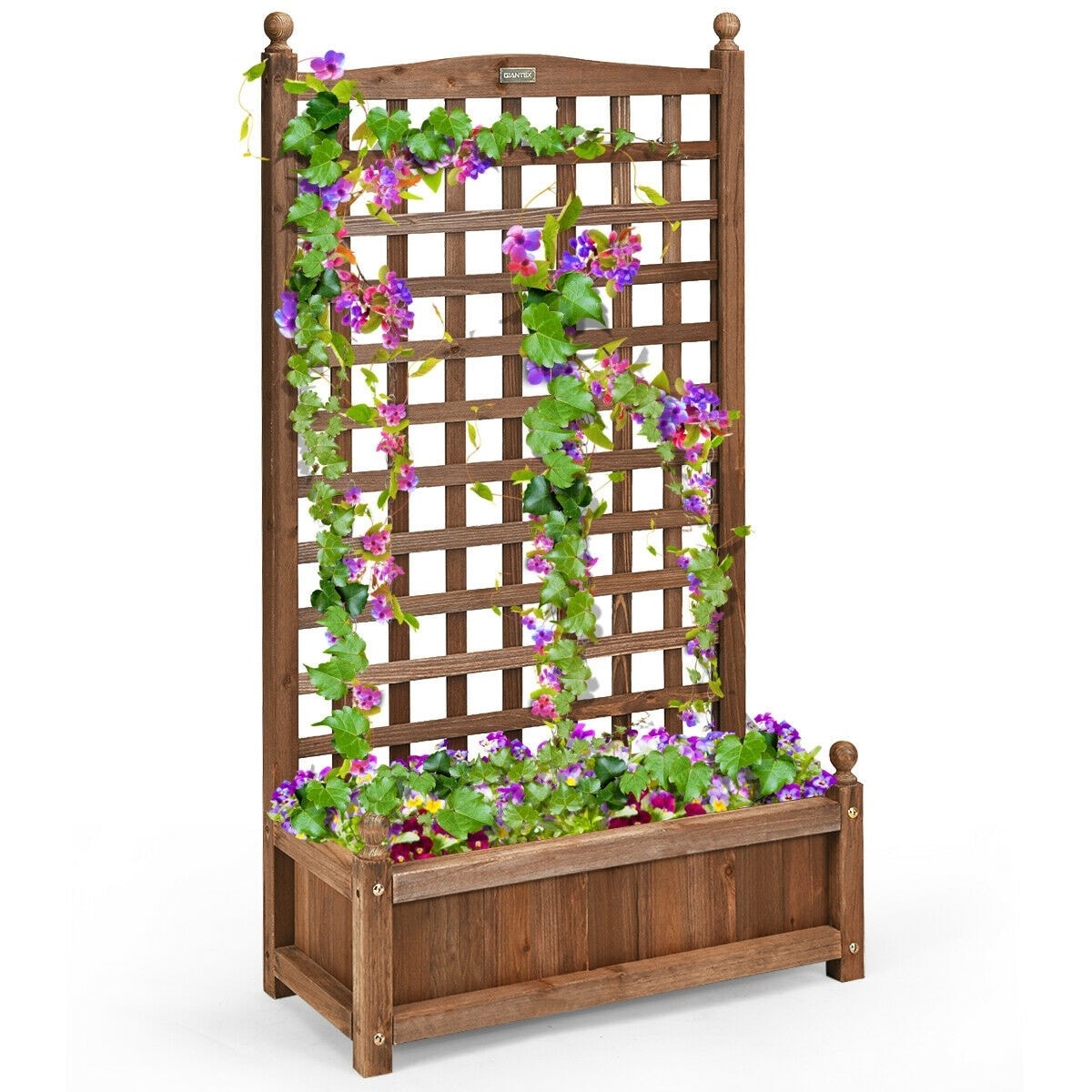 Outdoor Freestanding Wood Raised Garden Bed Planter Box with Trellis