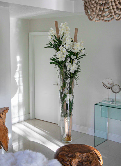 White Vanda Orchids And Driftwood Inside Oversized Tapered Glass Cylinder