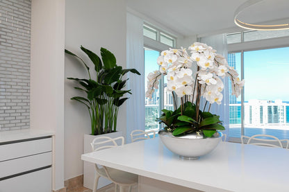 Avenue Bowl with White Phalaenopsis Orchids