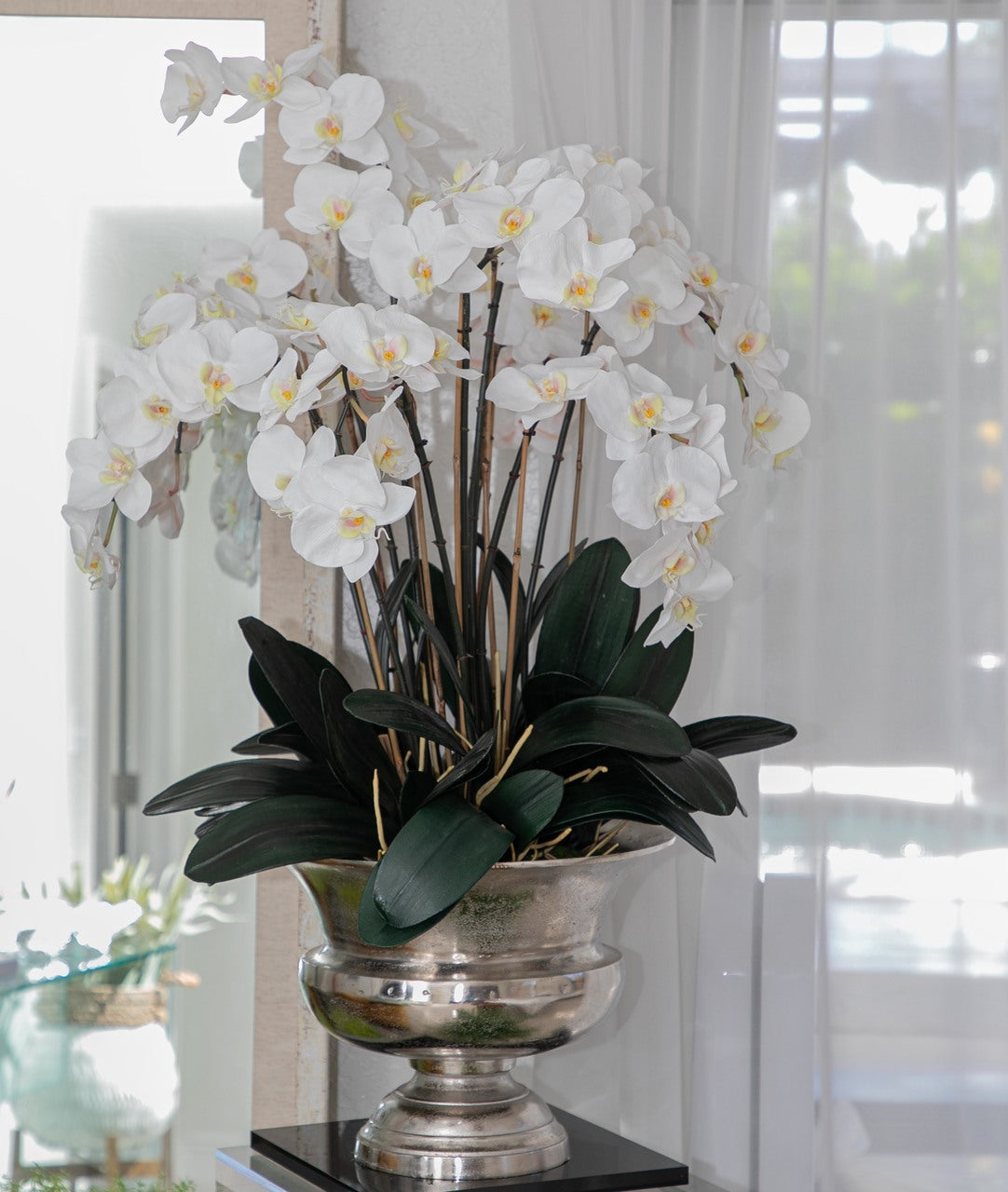 Large Titus Urn with Phalaenopsis Orchids