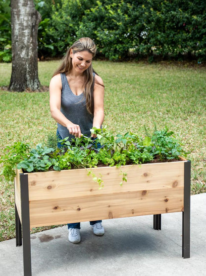 Self-Watering Elevated Planter Box