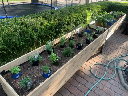 Flash sale ⚡Limited Stock💥Self-Watering Eco-Stained Elevated Planter Box⭐