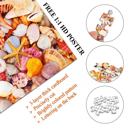 Sea Shells Jigsaw Puzzles 1000 Pieces