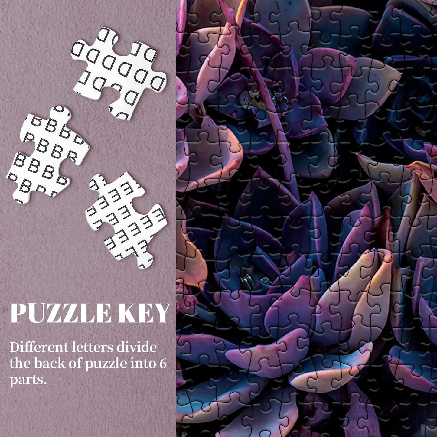 Impossible Purple Succulent  Jigsaw Puzzle 1000 Pieces