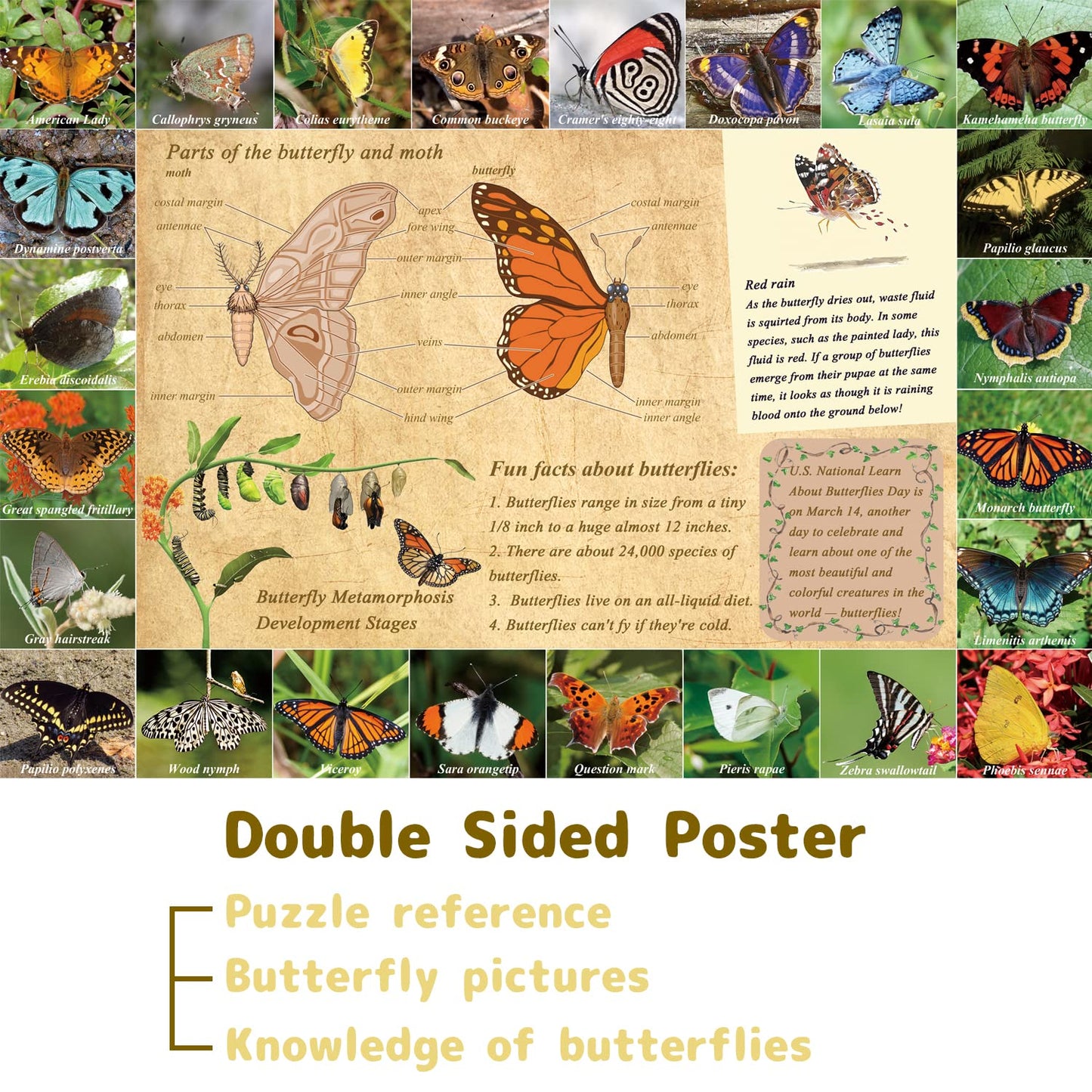 Butterflies of North America Jigsaw Puzzle 1000 Pieces