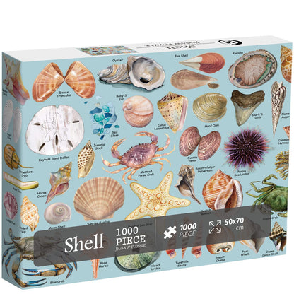 Ocean Theme Shells Jigsaw Puzzles 1000 Pieces