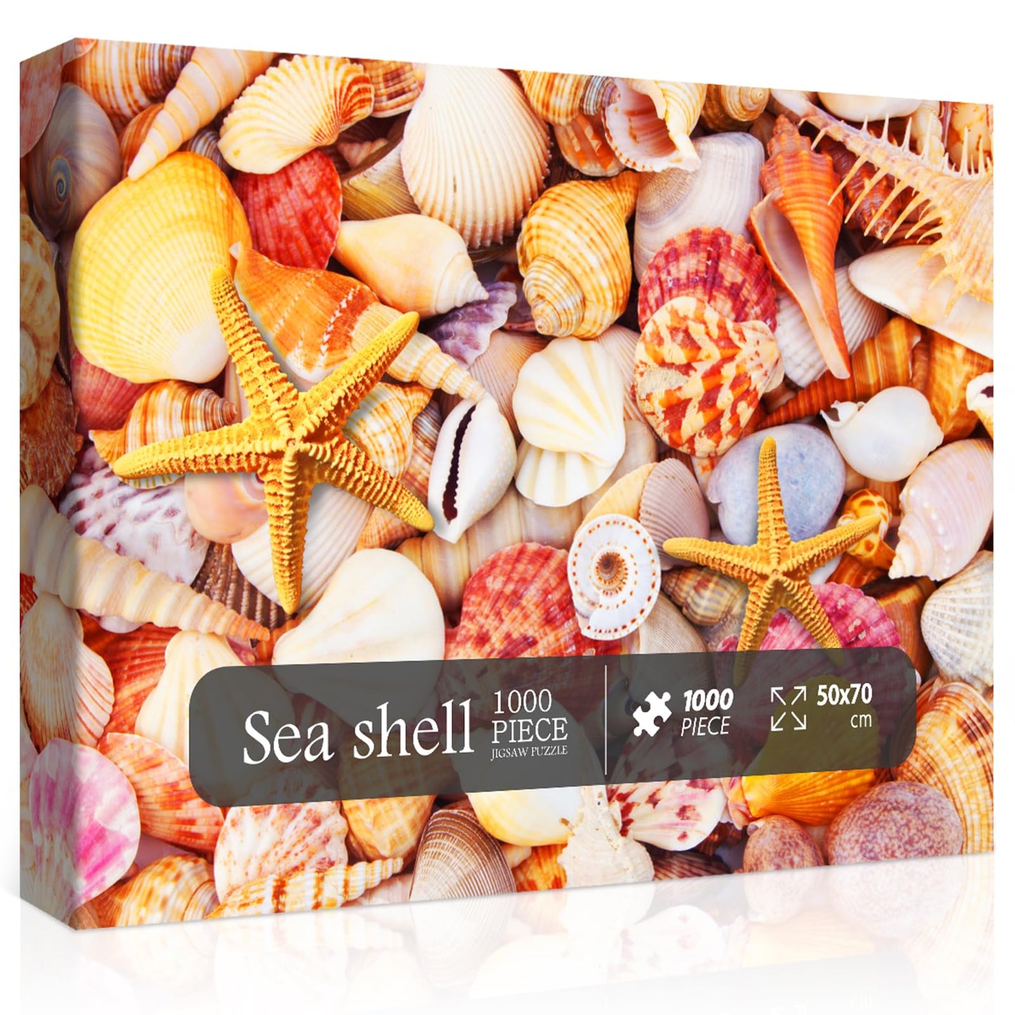 Sea Shells Jigsaw Puzzles 1000 Pieces