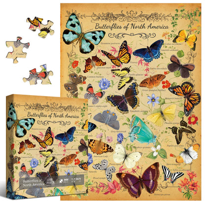 Butterflies of North America Jigsaw Puzzle 1000 Pieces