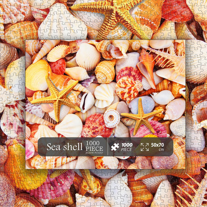 Sea Shells Jigsaw Puzzles 1000 Pieces