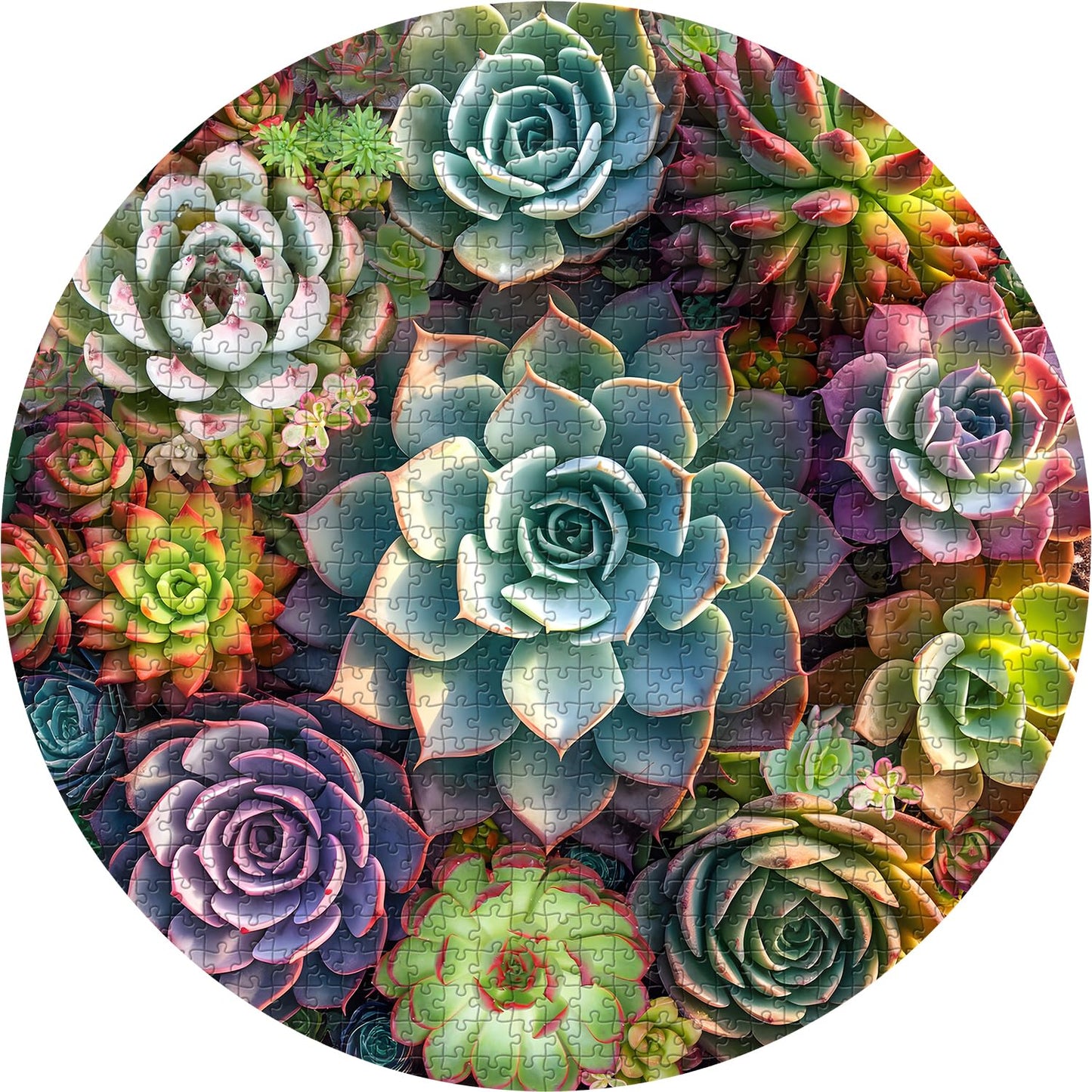 Vintage Succulent Jigsaw Puzzle 1000 Pieces